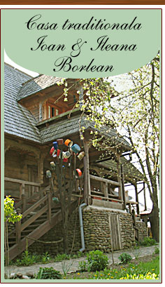 Pensiunea Casa Traditionala Borlean